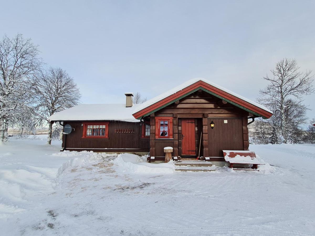 Brennabu Villa Ron Bagian luar foto