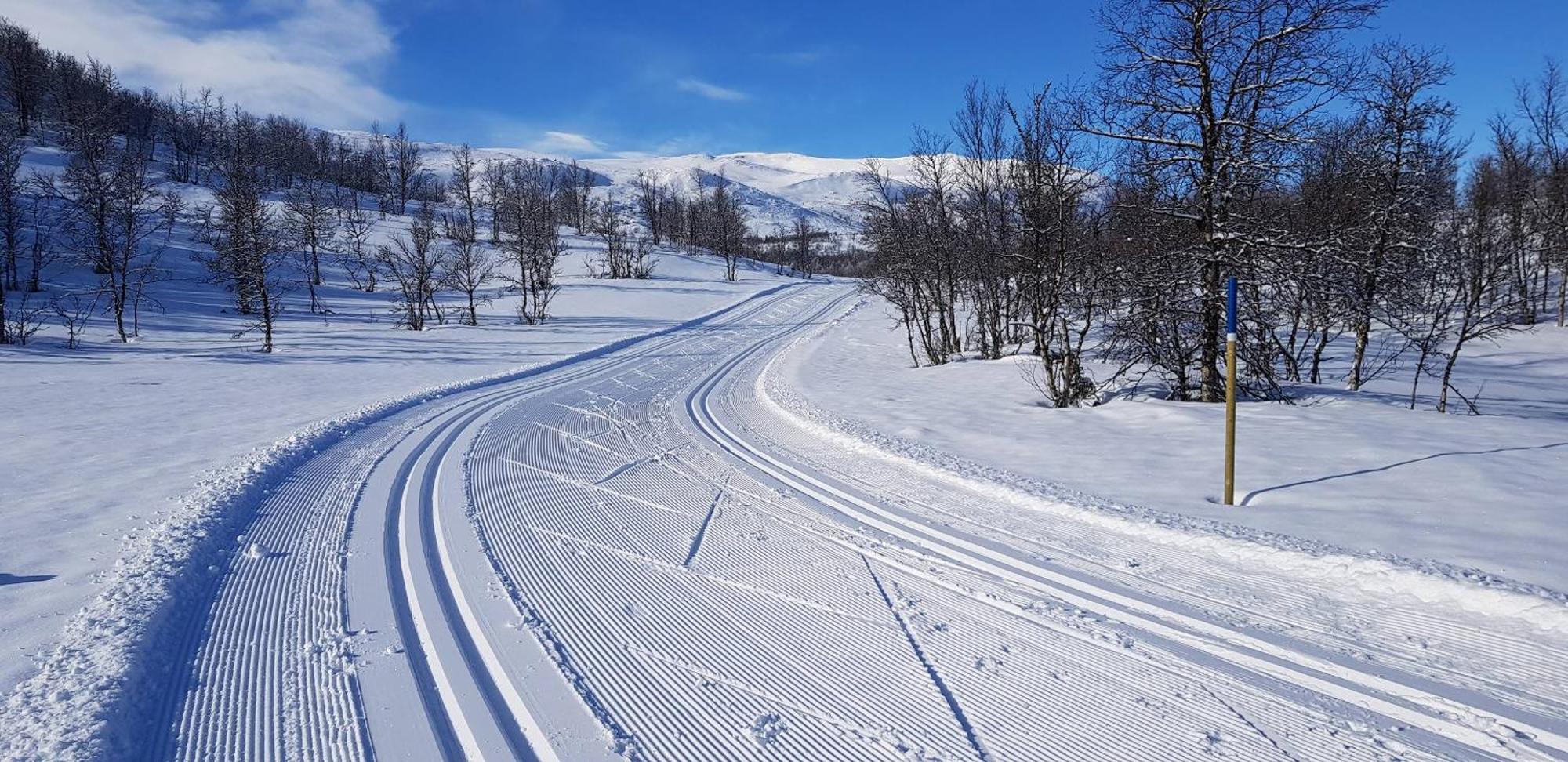 Brennabu Villa Ron Bagian luar foto